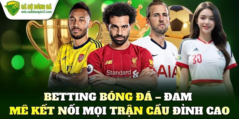 Betting bóng đá – Đam mê kết nối mọi trận cầu đỉnh cao