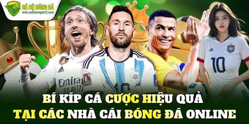 Bí kíp cá cược hiệu quả tại các nhà cái bóng đá online