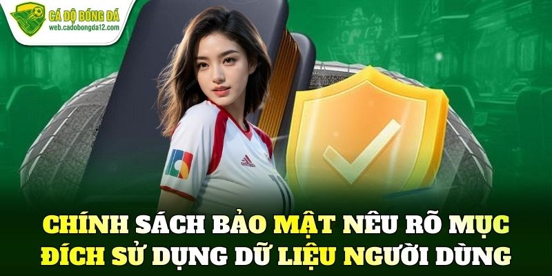 Chính Sách Bảo Mật nêu rõ mục đích sử dụng dữ liệu người dùng
