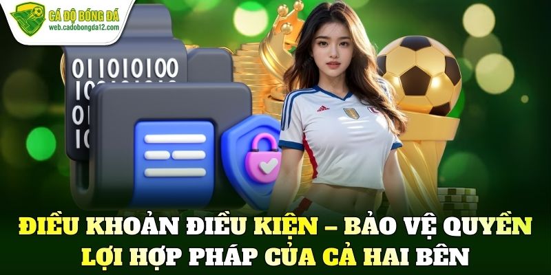 Điều khoản điều kiện – Bảo vệ quyền lợi hợp pháp của cả hai bên