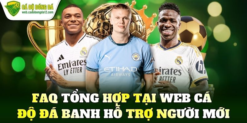 FAQ tổng hợp tại web cá độ đá banh hỗ trợ người mới