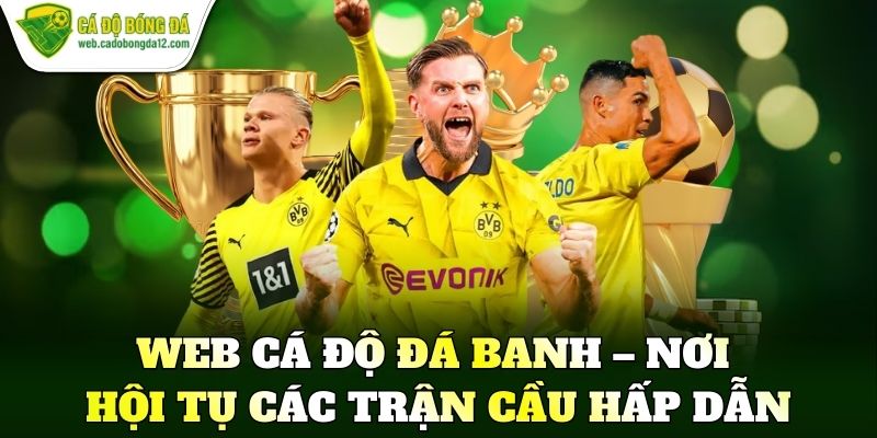 Web cá độ đá banh – Nơi hội tụ các trận cầu hấp dẫn