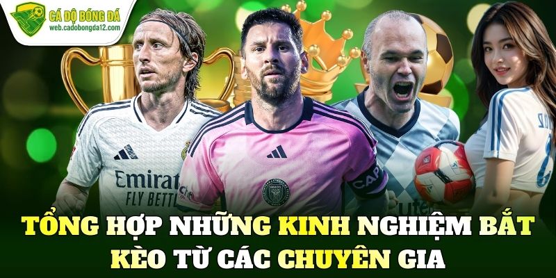 Tổng hợp những kinh nghiệm bắt kèo từ các chuyên gia