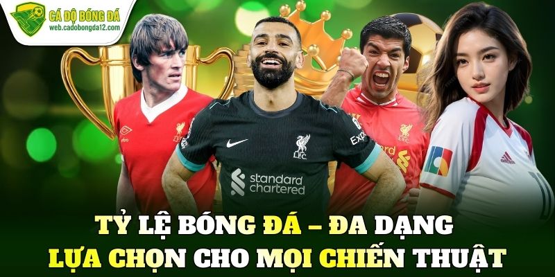 Tỷ lệ bóng đá – Đa dạng lựa chọn cho mọi chiến thuật