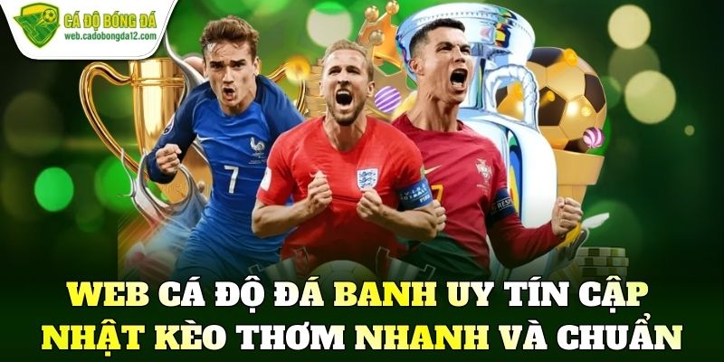 Web cá độ đá banh uy tín cập nhật kèo thơm nhanh và chuẩn